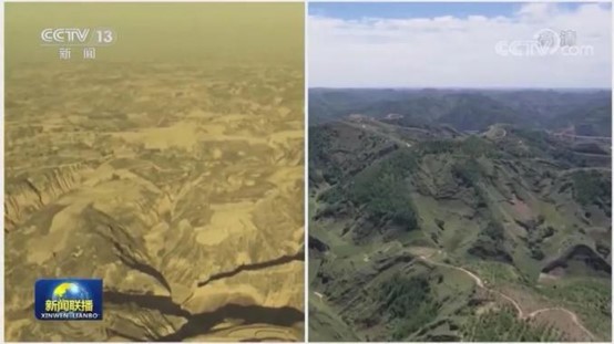 1652233516133872.jpg 圖片5.jpg