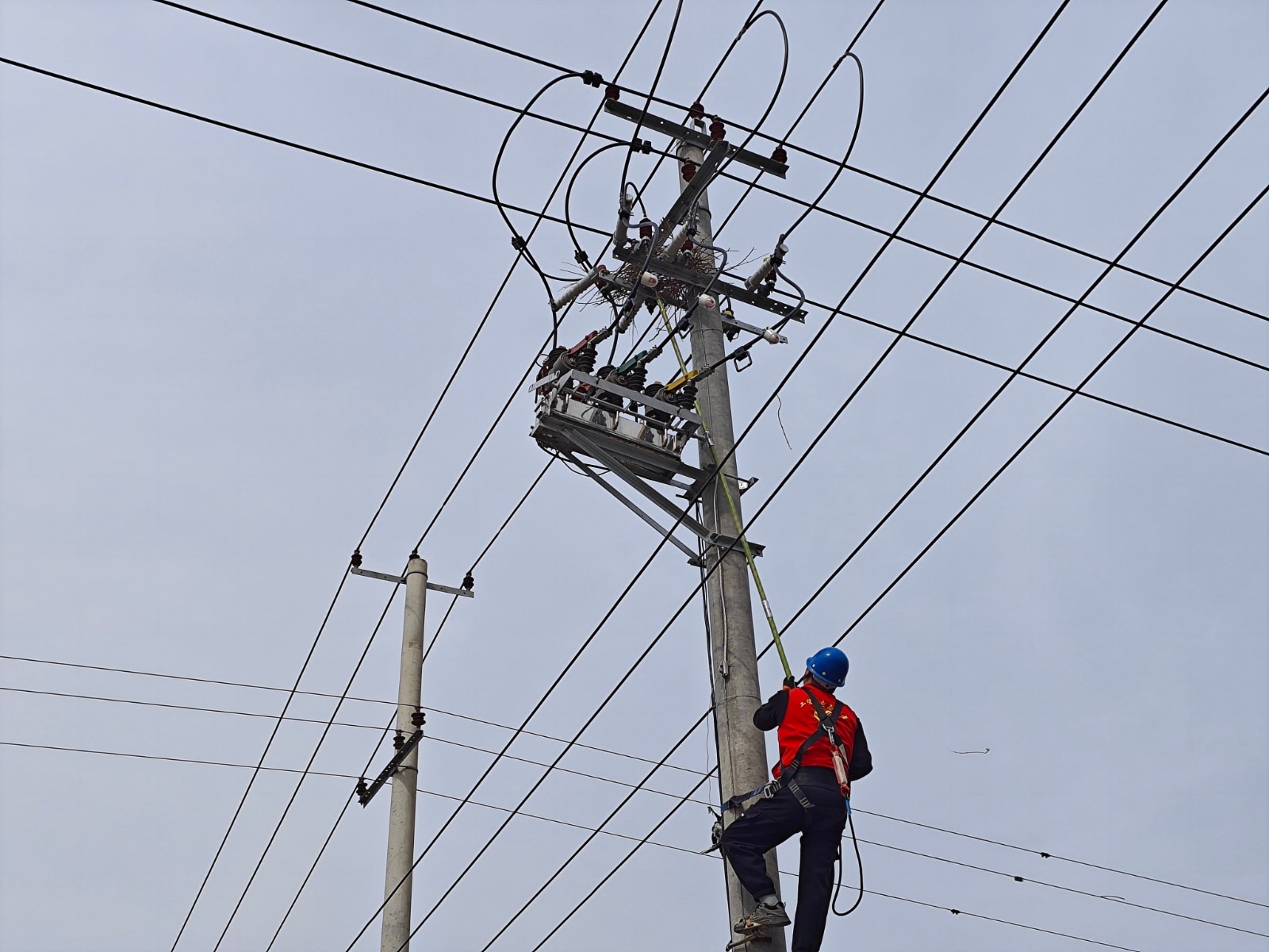 1711417392314076734.jpg 清除鳥窩專項(xiàng)行動(dòng)1.jpg